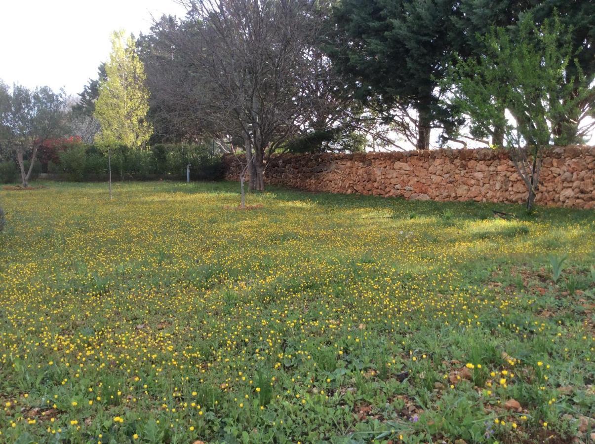 Villa Faro Provence Var Montfort-sur-Argens Exterior photo